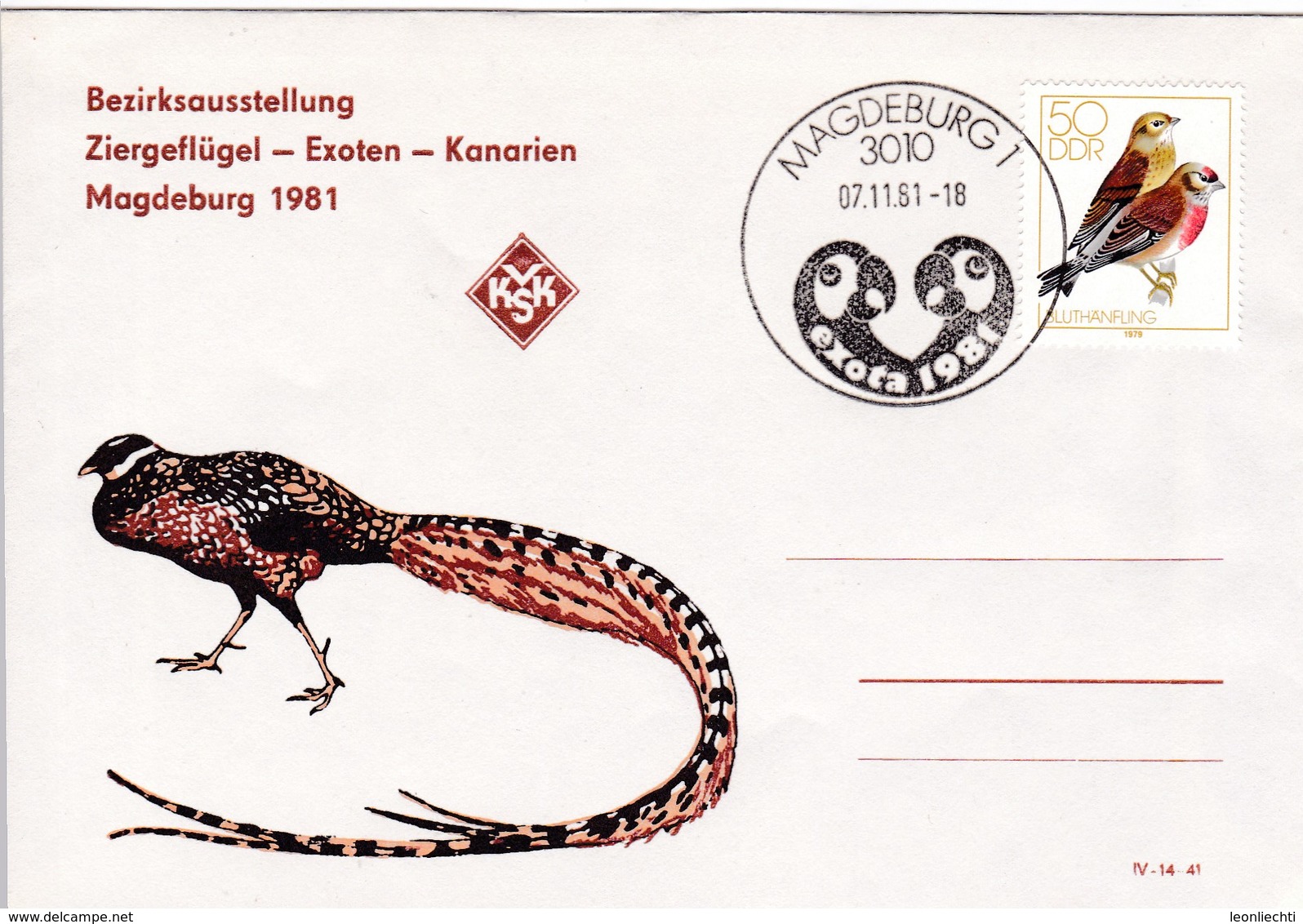 DDR Magdeburg  Bezirksausstellung Ziervögel-Exoten-Kanarien 1981. Mi:2393 Bluthänfling - Lettres & Documents