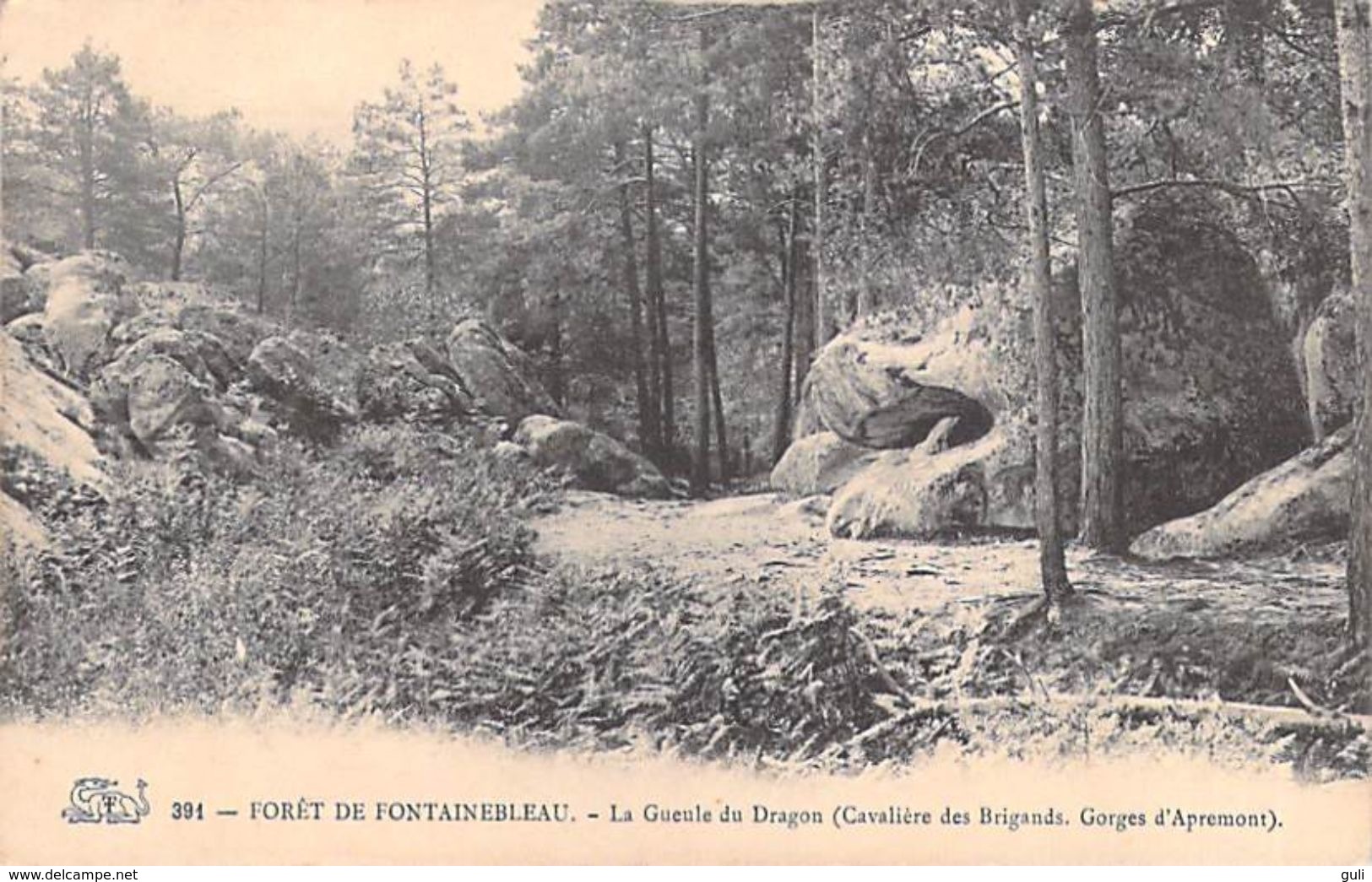 [77] Seine Et Marne > FONTAINEBLEAU  Lot De 13 Cartes Cpa-voir Scan R/V Des  13 Cartes Cpa - Fontainebleau