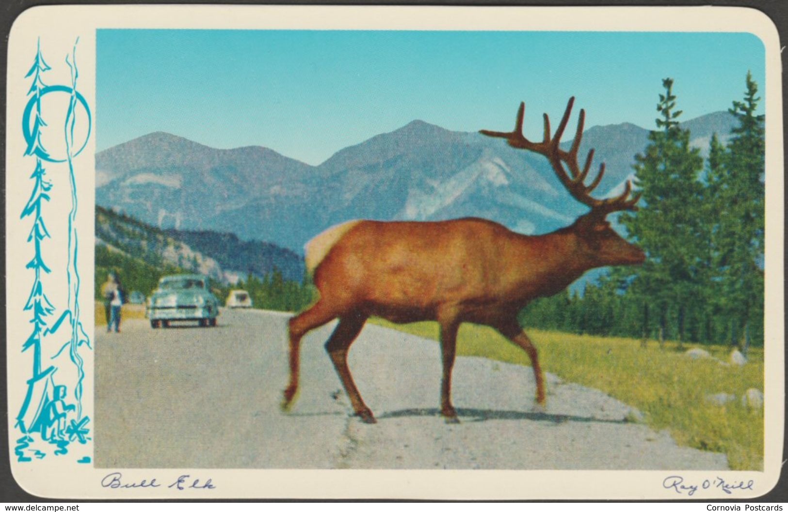 Animals Of The Canadian Rockies, 1957 - Smith Lithograph Co Eight Postcards - Other & Unclassified