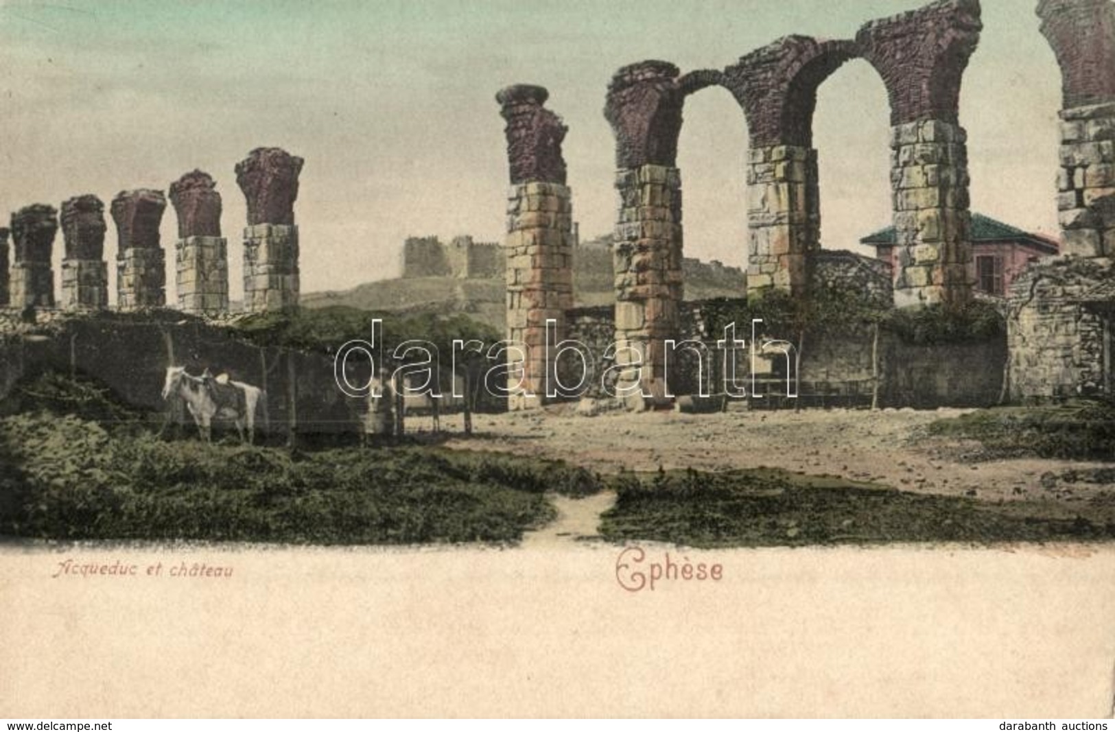 ** T1 Ephesus, Efes (Izmir, Smyrne); Acqueduc Et Chateau / Aqueduct, Castle - Unclassified