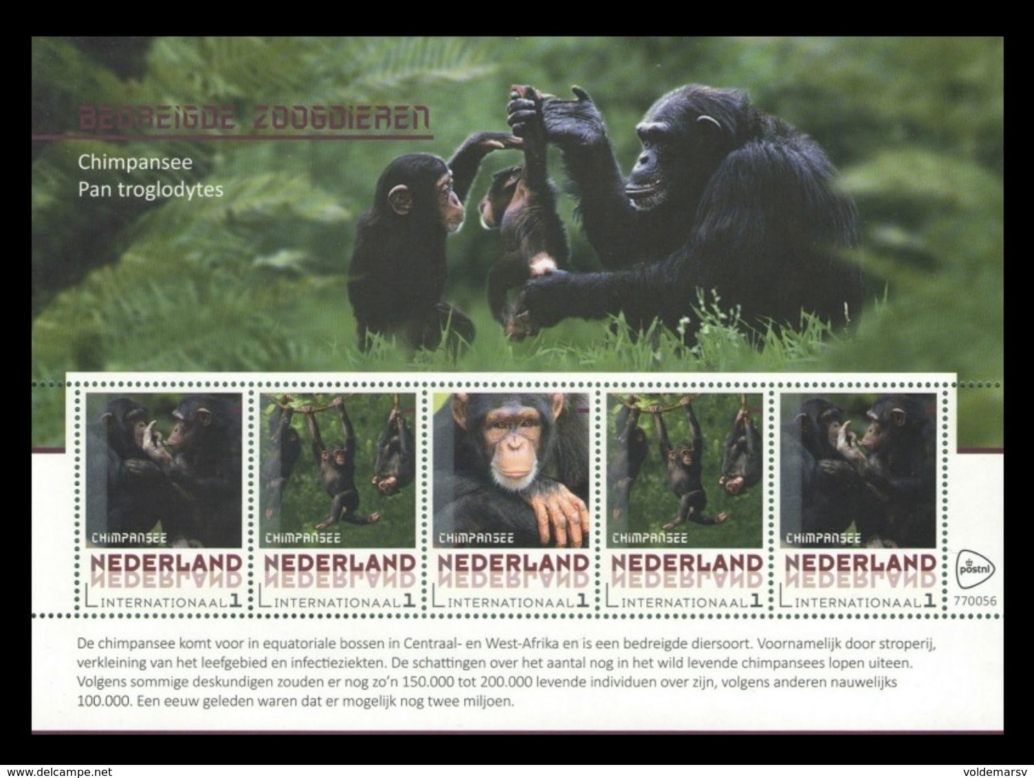 Netherlands (GP) 2017 No. 2017-171/75 Fauna. Endangered Animals. Monkeys. Chimpansee MNH ** - Unused Stamps