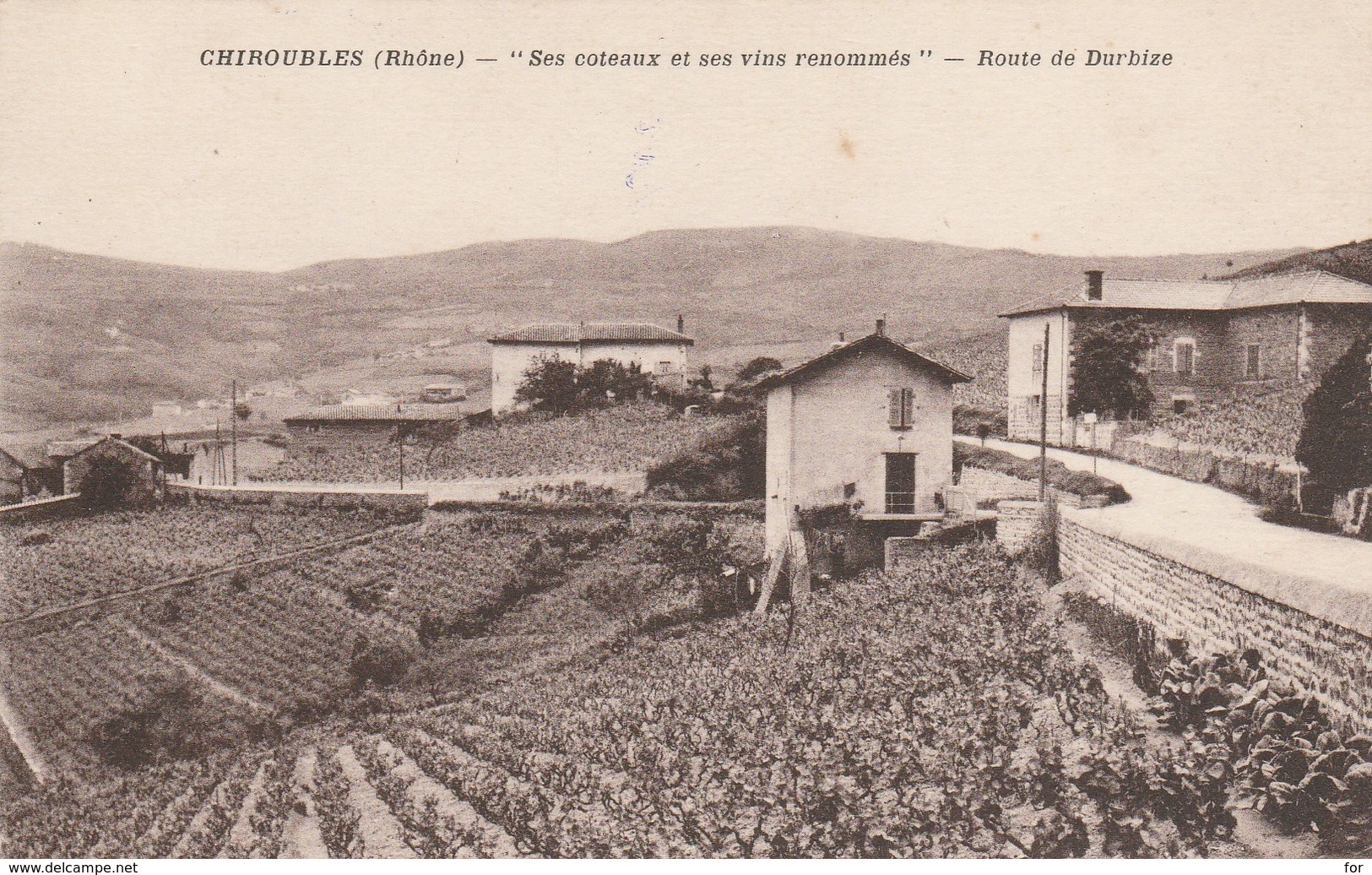 Rhone : CHIROUBLES : Route De Durbize - Chiroubles