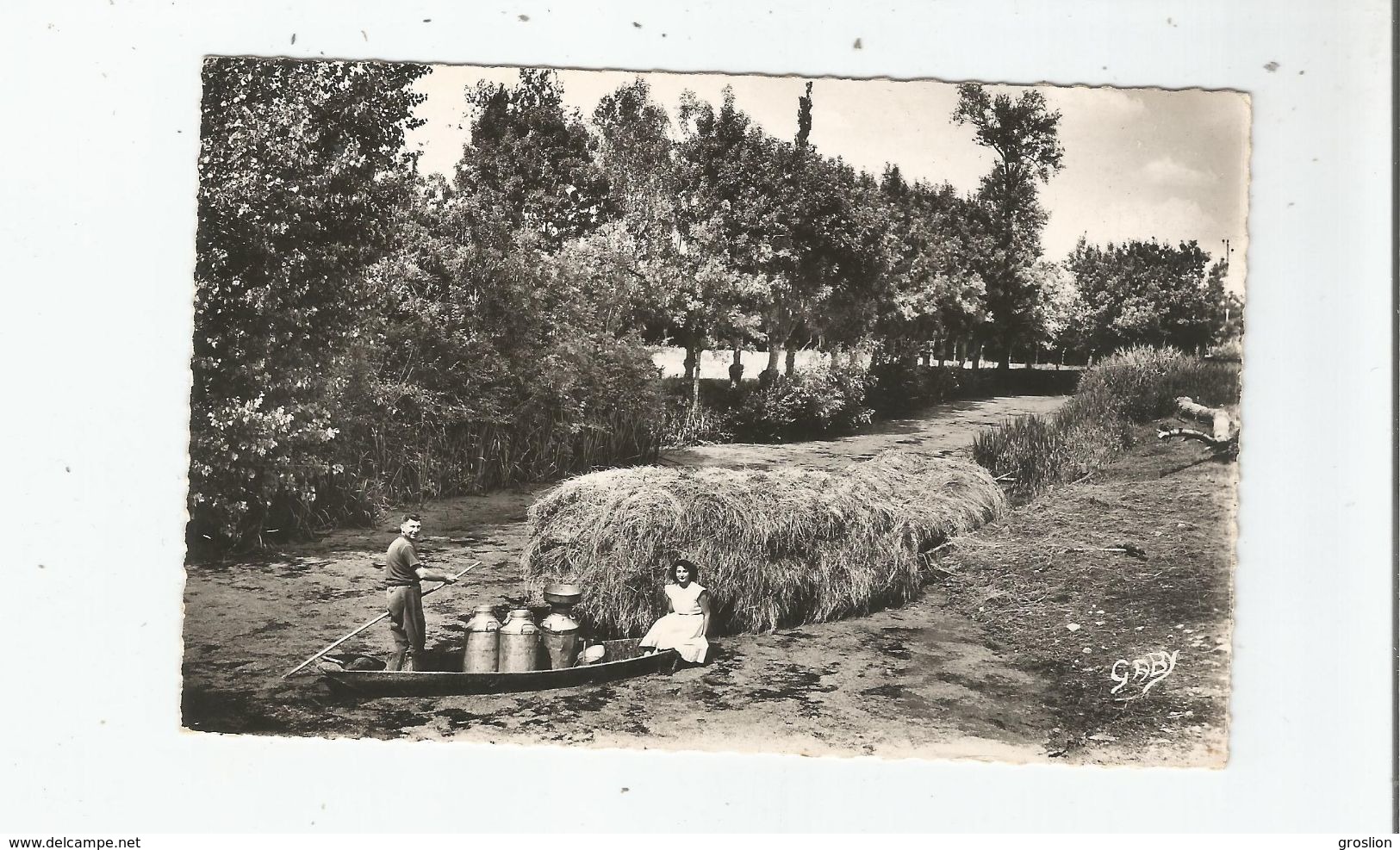 MAILLEZAIS (VENDEE) 8 LES GRANDES DOUVES ARRIVEE DU LAITIER - Maillezais