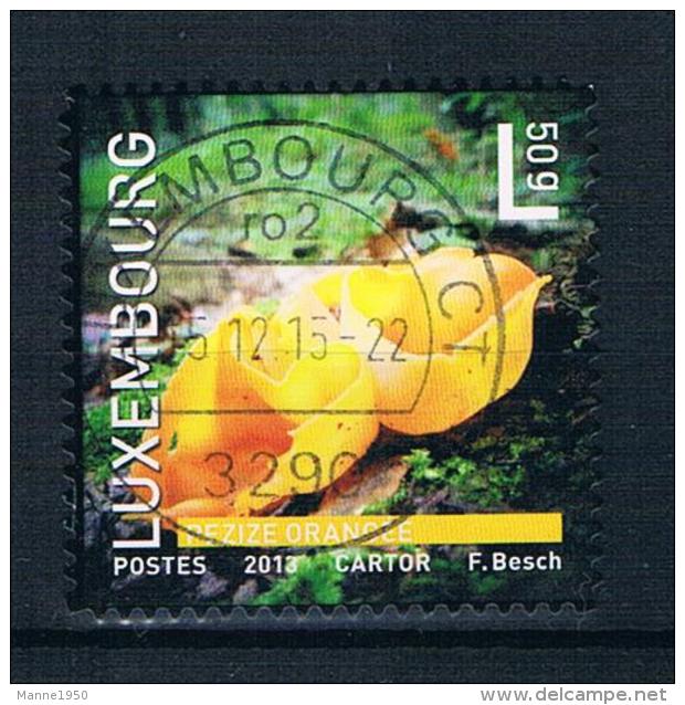 Luxemburg 2013 Mi.Nr. 1987 Gestempelt - Used Stamps