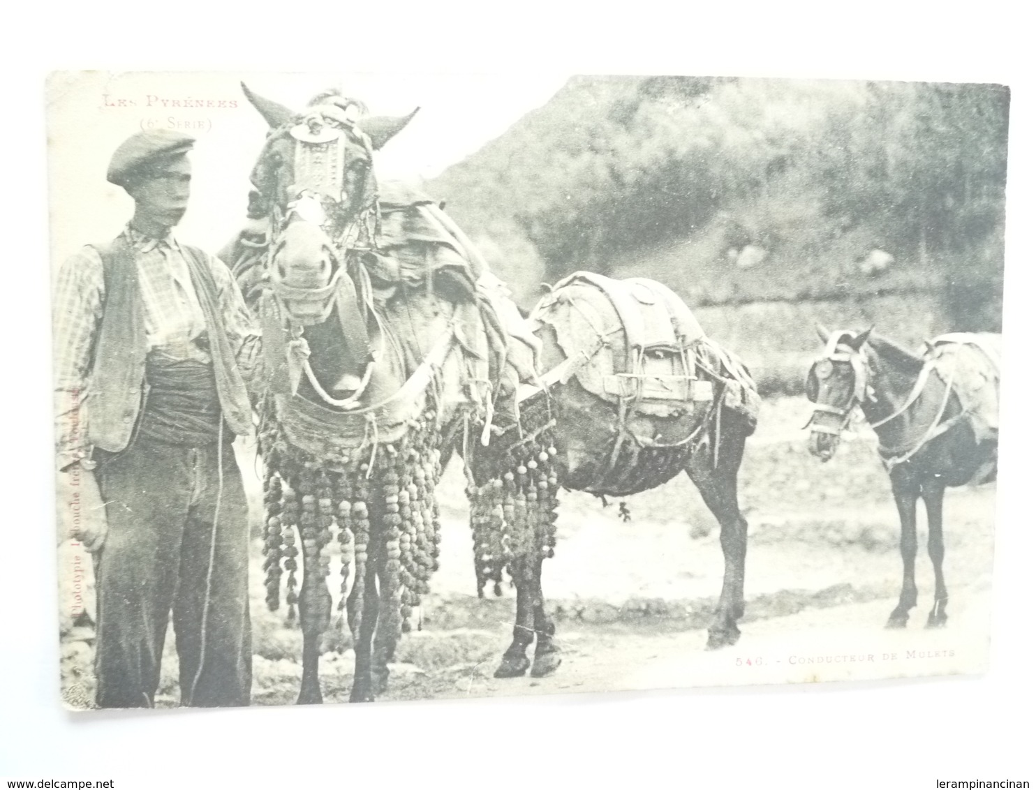 LES PYRENEES CONDUCTEUR DE MULETS - Midi-Pyrénées