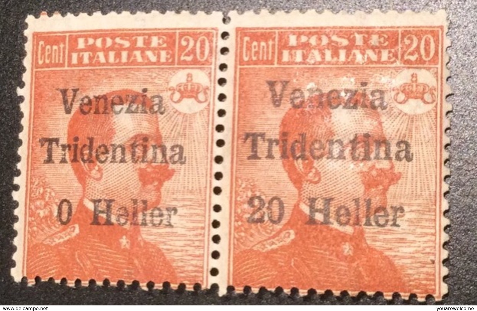 VARIETY Sa. 30c ** Terre Redente TRENTINO ALTO ADIGE 1918  (Italy Italy 1914-18 WW1  War Österreich Tirol Südtirol - Trento