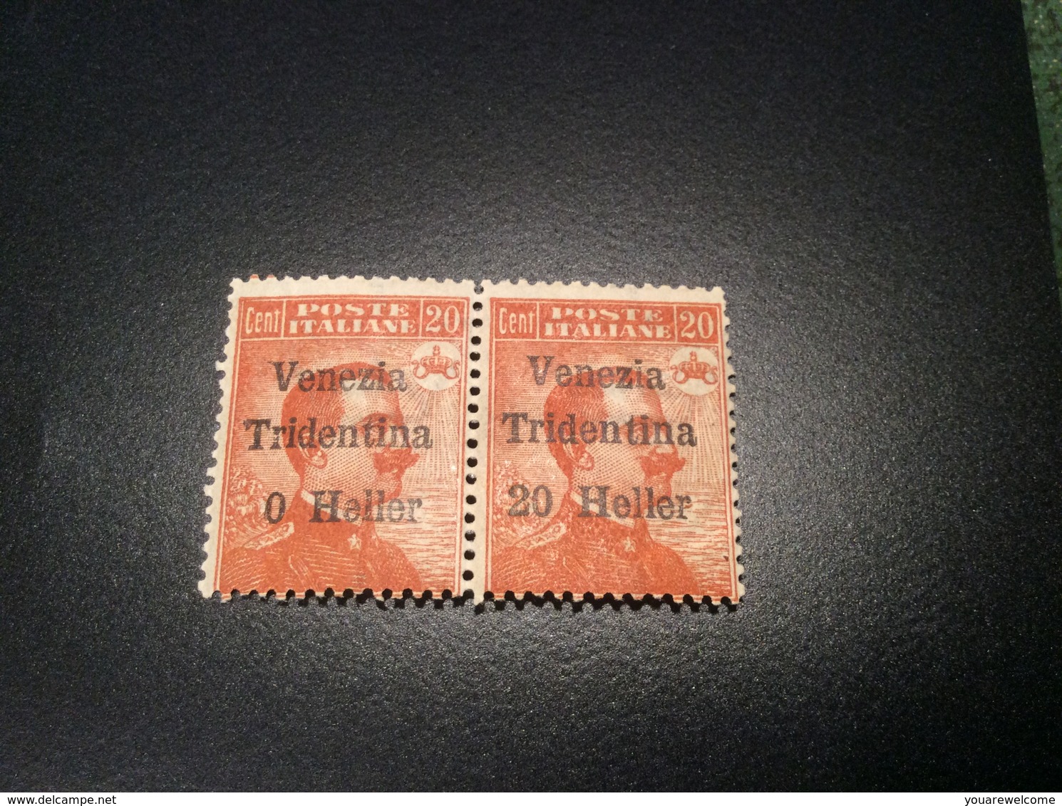 VARIETY Sa. 30c ** Terre Redente TRENTINO ALTO ADIGE 1918  (Italy Italy 1914-18 WW1  War Österreich Tirol Südtirol - Trento