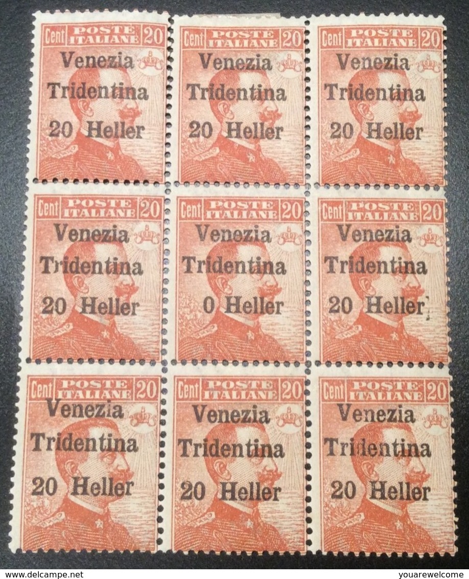 VARIETY Sa. 30c ** Terre Redente TRENTINO ALTO ADIGE 1918  (Italy Italia 1914-18 WW1  War Österreich Tirol Südtirol - Trento