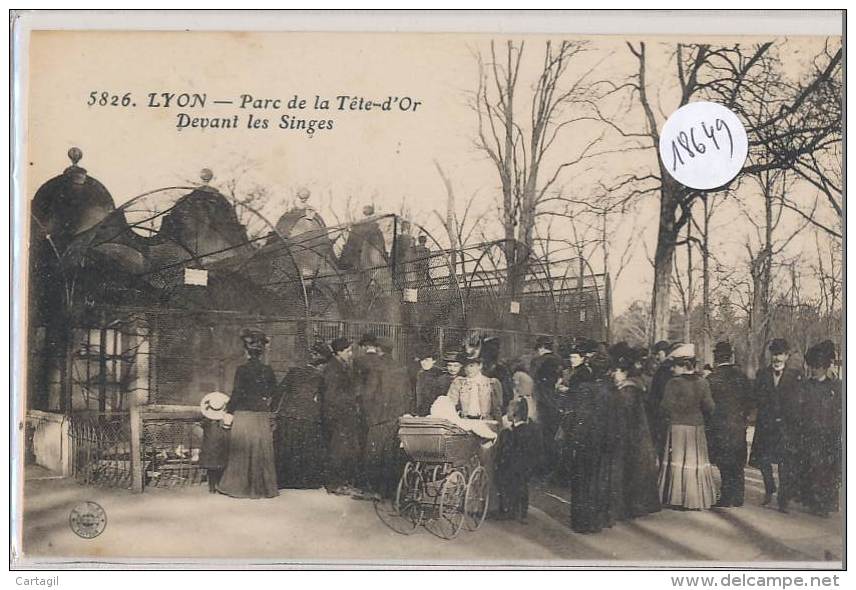 CPA -18649-69-Lyon -Parc De La Tête D'Or - Devant Les Singes - Altri & Non Classificati