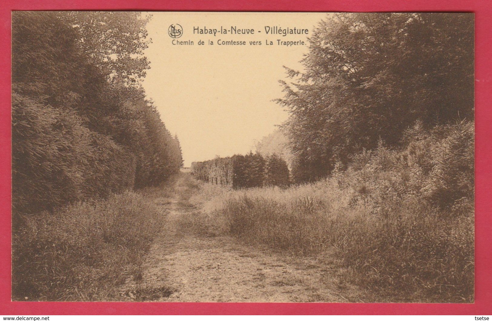 Habay-la-Neuve - Chemin De La Comtesse Vers La Trapperie ( Voir Verso ) - Habay