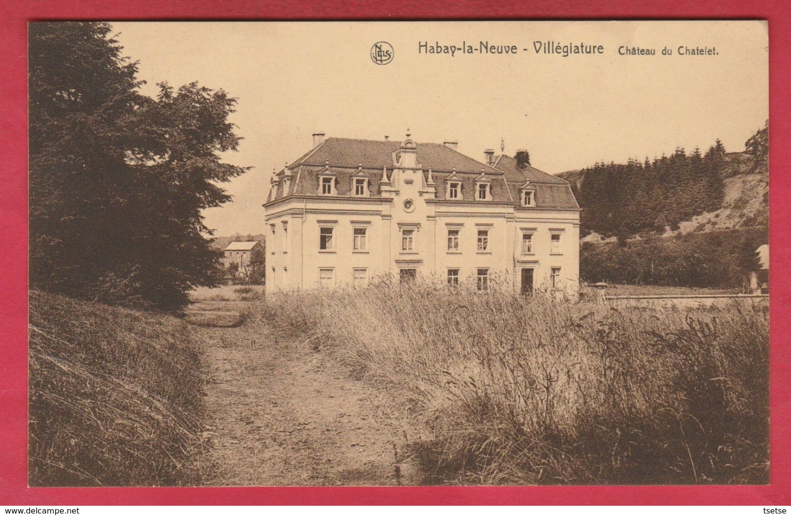Habay-la-Neuve - Château Du Chalelet ( Voir Verso ) - Habay