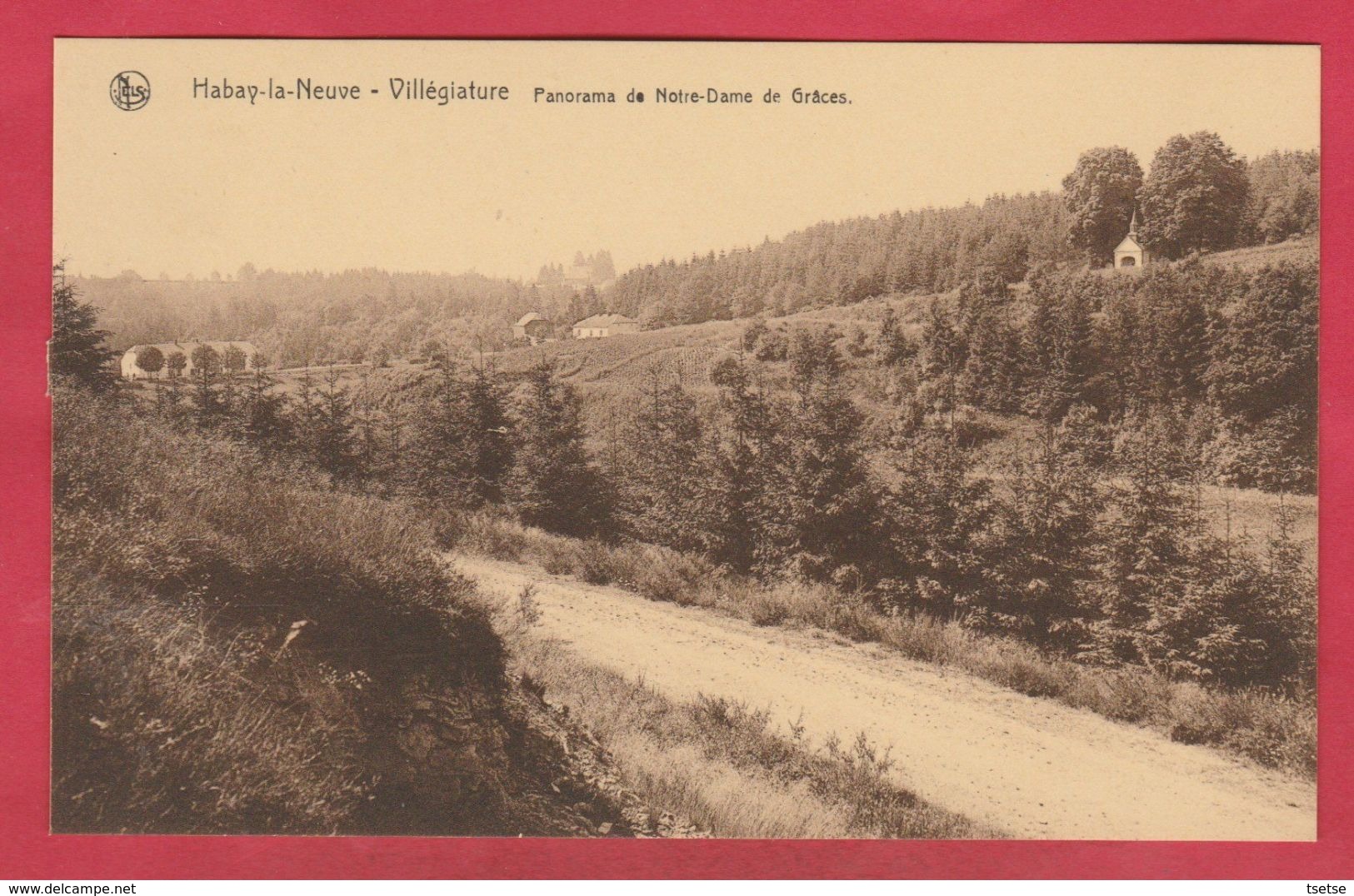 Habay-la-Neuve - Panorama De Notre-Dame De Grâces ( Voir Verso ) - Habay