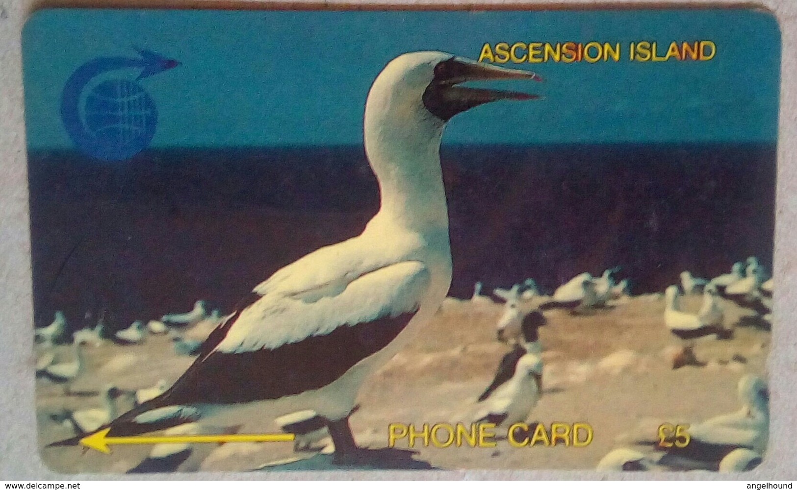 Ascension Islands 2CASA Booby Bird 5 Pounds - Isole Ascensione