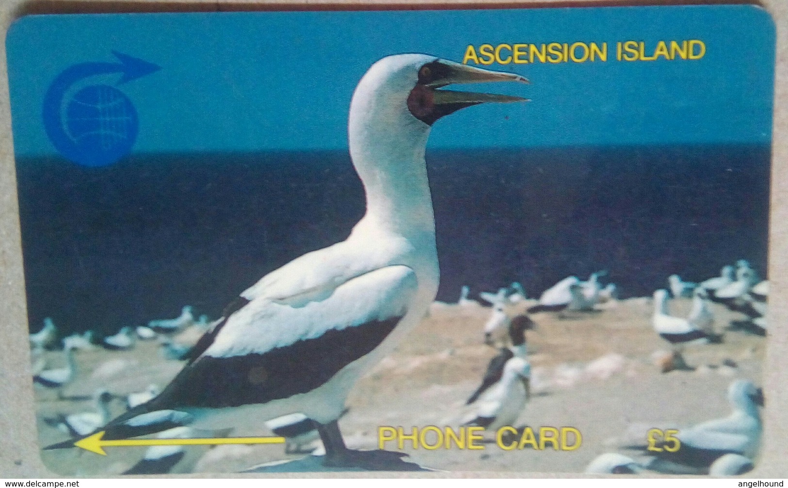 Ascension Island 3CASA Booby Bird  5 Pounds - Ascension (Ile De L')