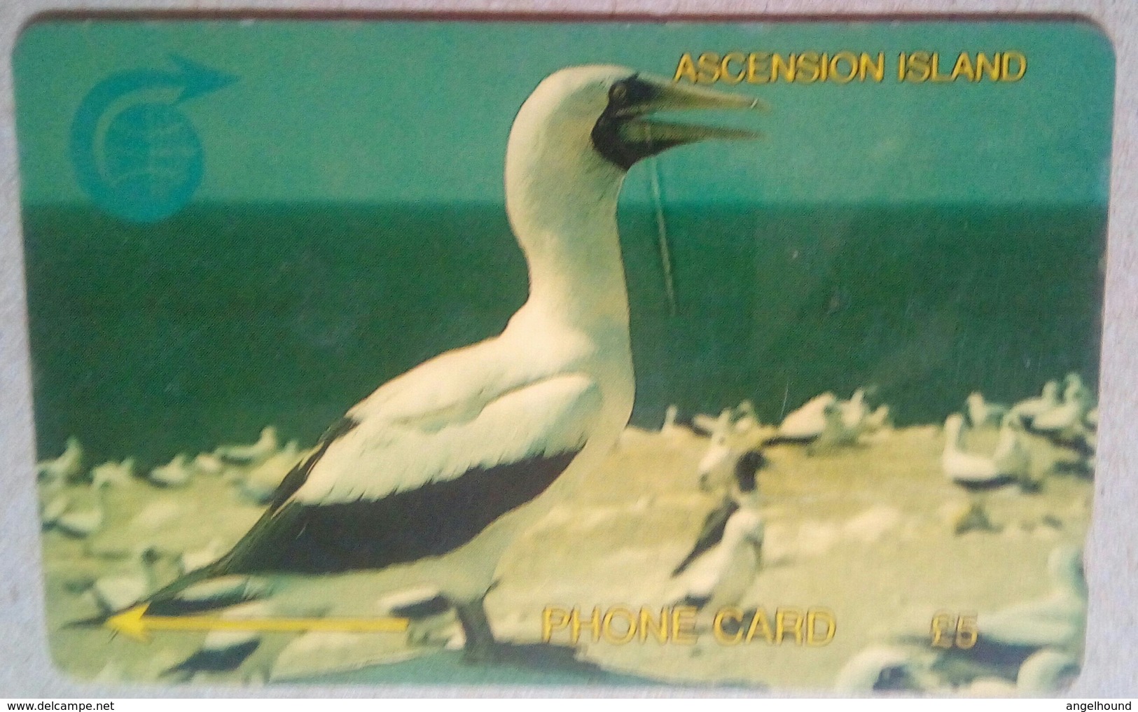 Ascension Island 5CASA Booby Bird 5 Pounds - Ascension (Insel)