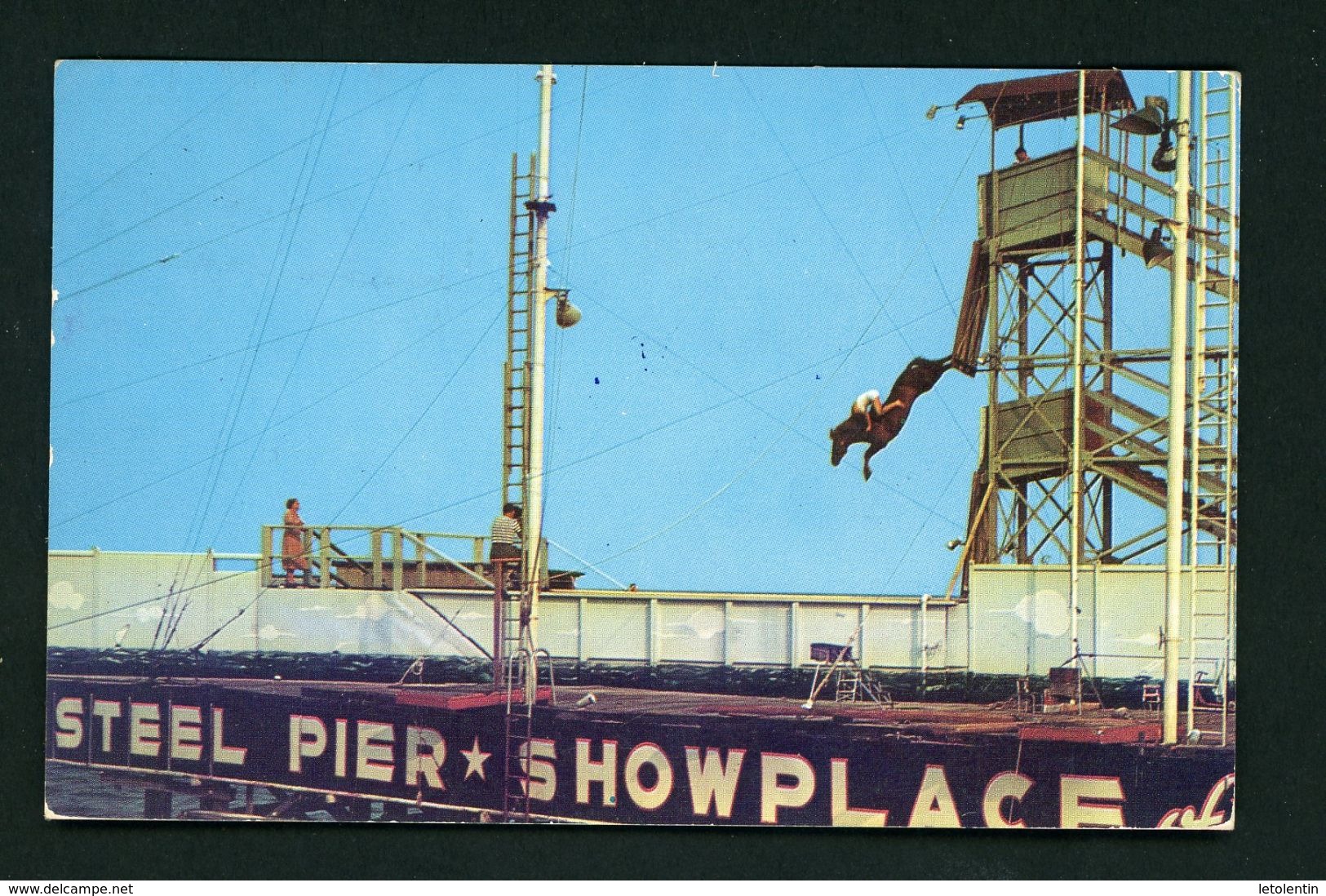 CPSM - USA - ATLANTIC CITY -  THE WORLD FAMOUS DIVING HORSE ..... - Atlantic City