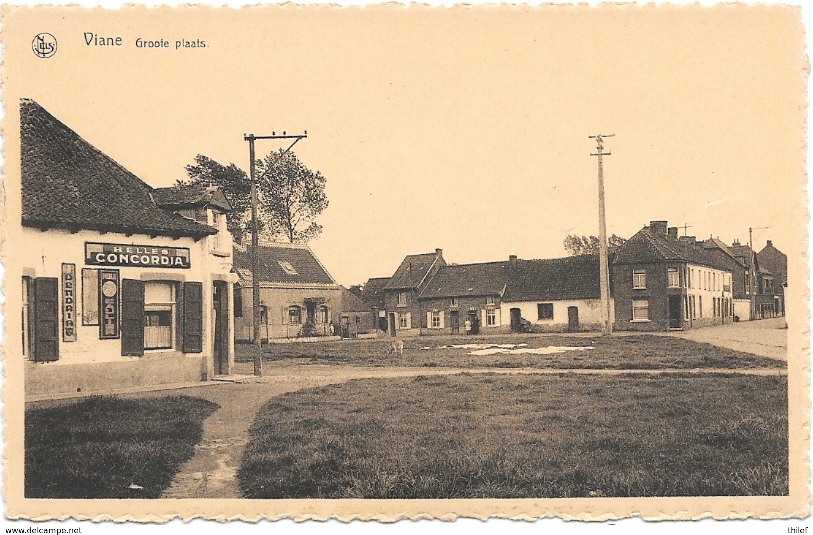 Viane NA3: Groote Plaats - Geraardsbergen