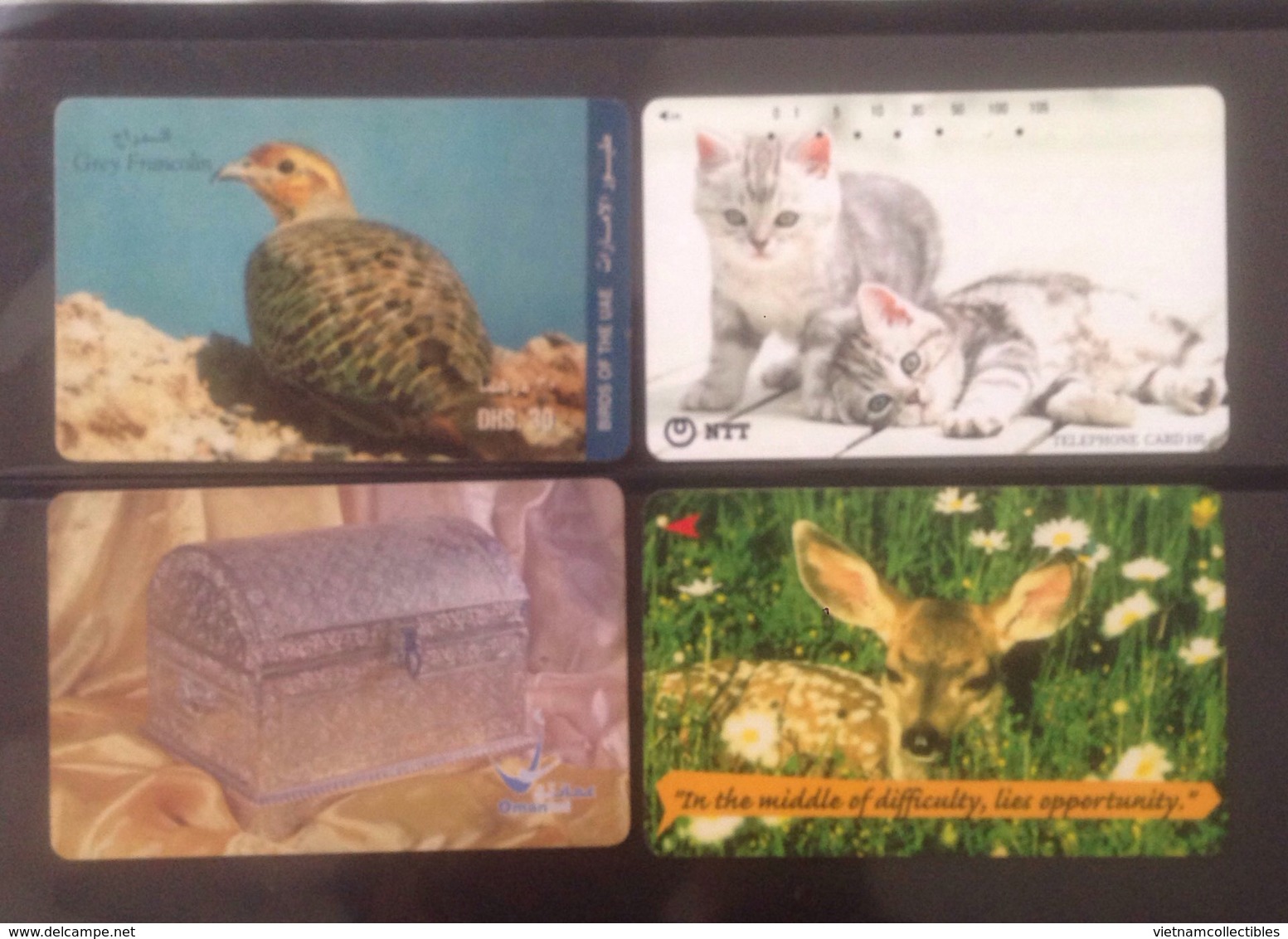 Lot Of 4 Used Phonecard Card Cards Regarding Bird / Cat/ 02 Photo With Backside - Other – Asia