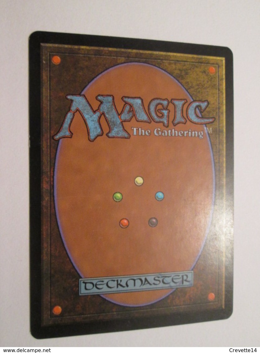 CARTE DE JEU MAGIC THE GATHERING (en ITALIEN) PORTATORE DI DOLORE - Autres & Non Classés