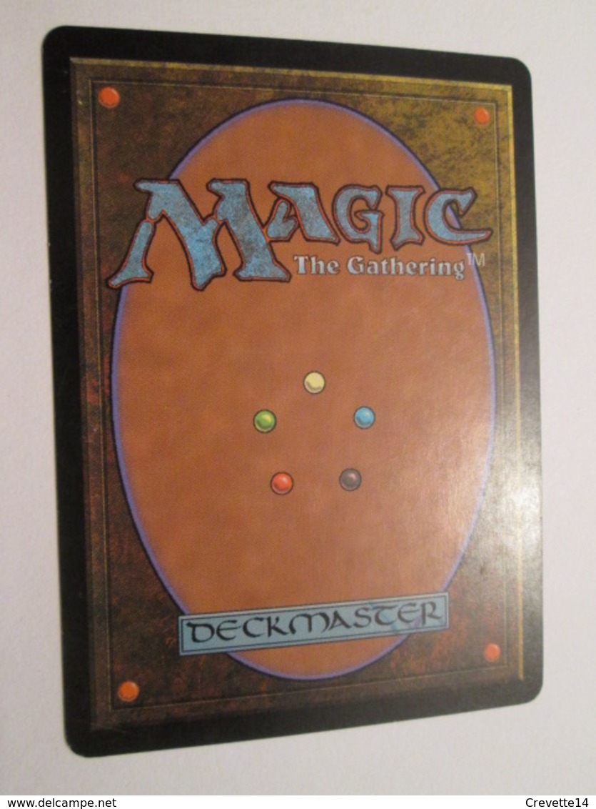 CARTE DE JEU MAGIC THE GATHERING (en Français) VISAGE DE LA PEUR - Autres & Non Classés