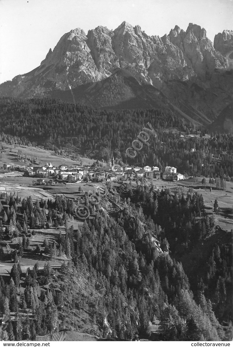 Cartolina Lorenzago Cadore Panorama E Gruppo Miaron 1951 (Treviso) - Treviso