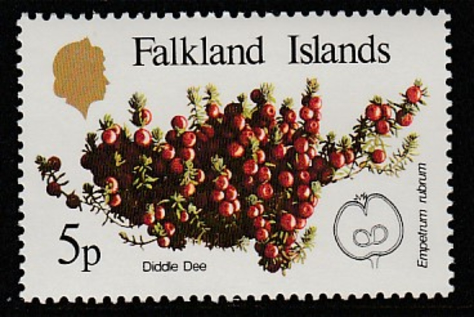 Falkland Islands 1983 Native Fruits 5 P Multicolored SW 397 ** MNH - Falklandinseln