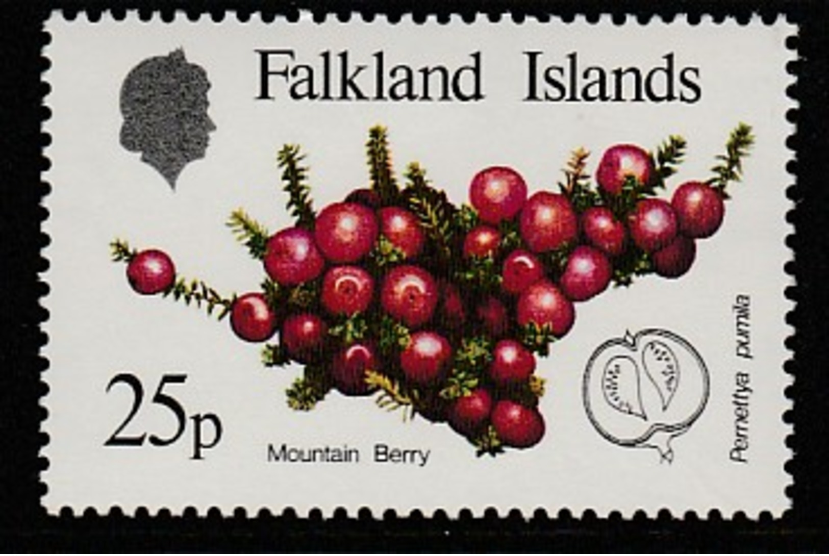 Falkland Islands 1983 Native Fruits 25 P Multicolored SW 399 ** MNH - Falklandinseln