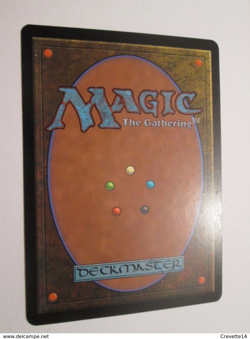 CARTE DE JEU MAGIC THE GATHERING (en Français) HANTISE GLACIALE - Autres & Non Classés