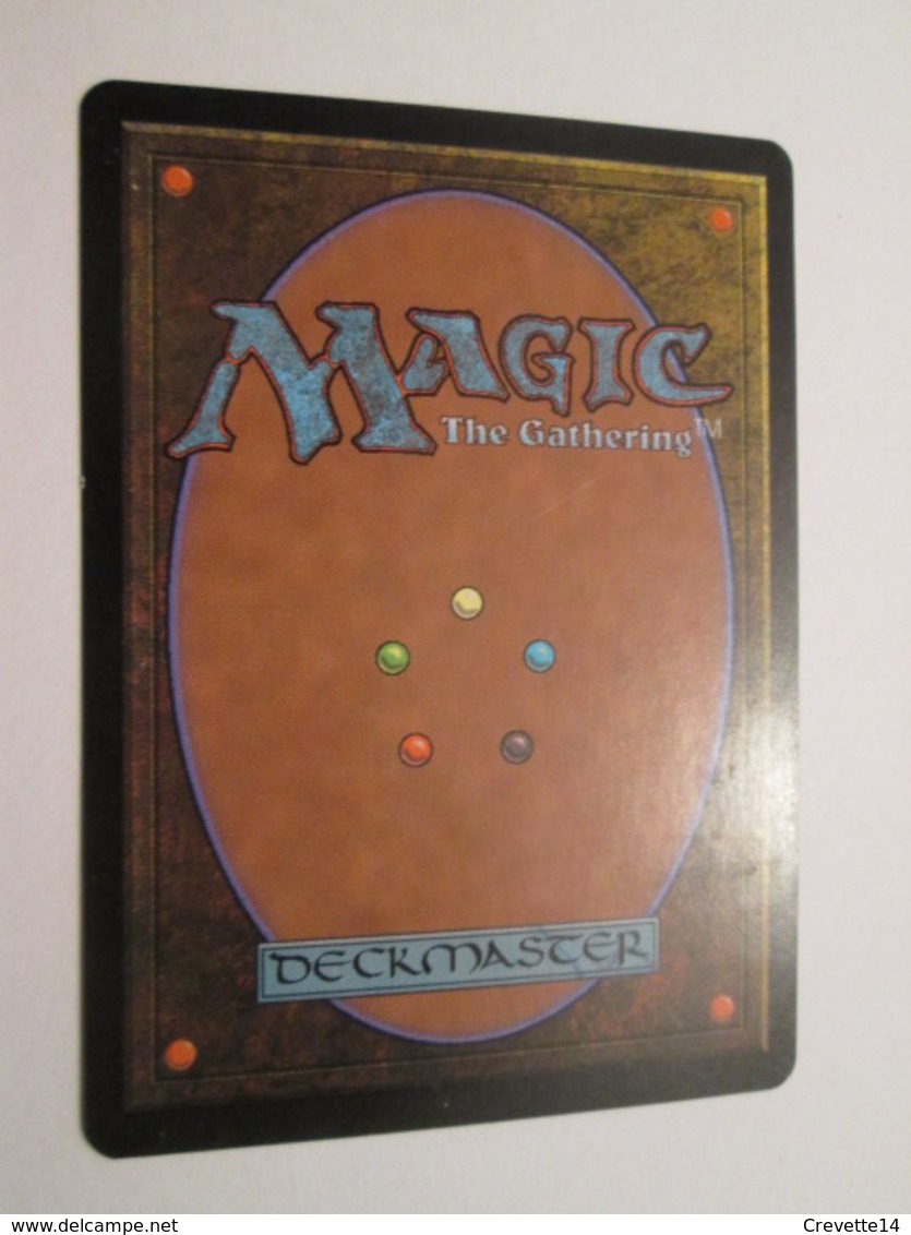 CARTE DE JEU MAGIC THE GATHERING (en Français) CRIS DES DAMNES - Autres & Non Classés