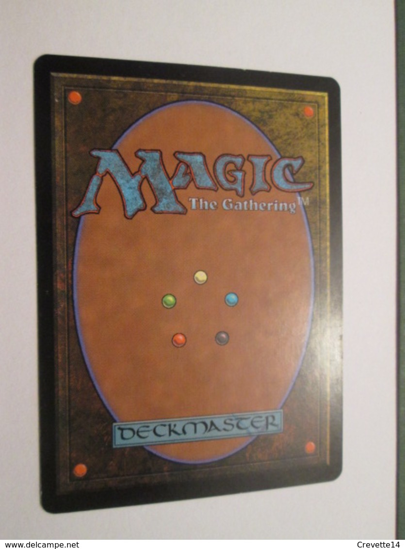 CARTE DE JEU MAGIC THE GATHERING (en Français) CHAINE DE BROUILLARD - Autres & Non Classés