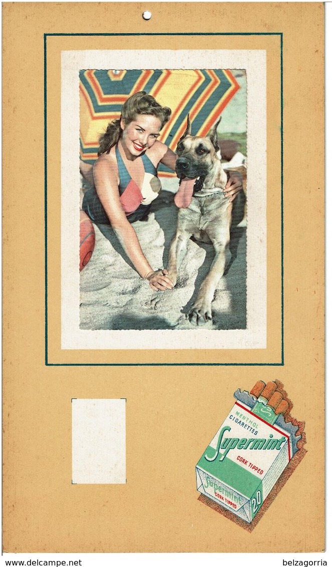 PUBLICITE CIGARETTES SUPERMINT MENTOL CARK TIPPED  - PIN UP Avec Son Chien ( Photo Collée ) Plaque En Carton - Plaques En Carton