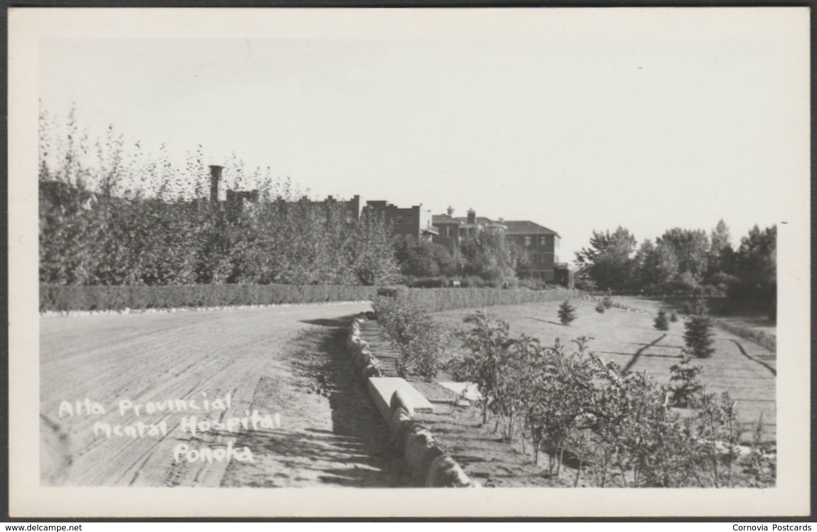 Alberta Provincial Mental Hospital, Ponoka, Alberta, C.1920s - CKC RPPC - Other & Unclassified