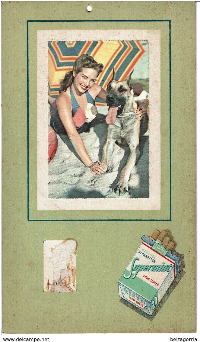 PUBLICITE CIGARETTES SUPERMINT MENTOL CARK TIPPED  - PIN UP Avec Son Chien  ( Photo Collée ) Plaque En Carton - Plaques En Carton