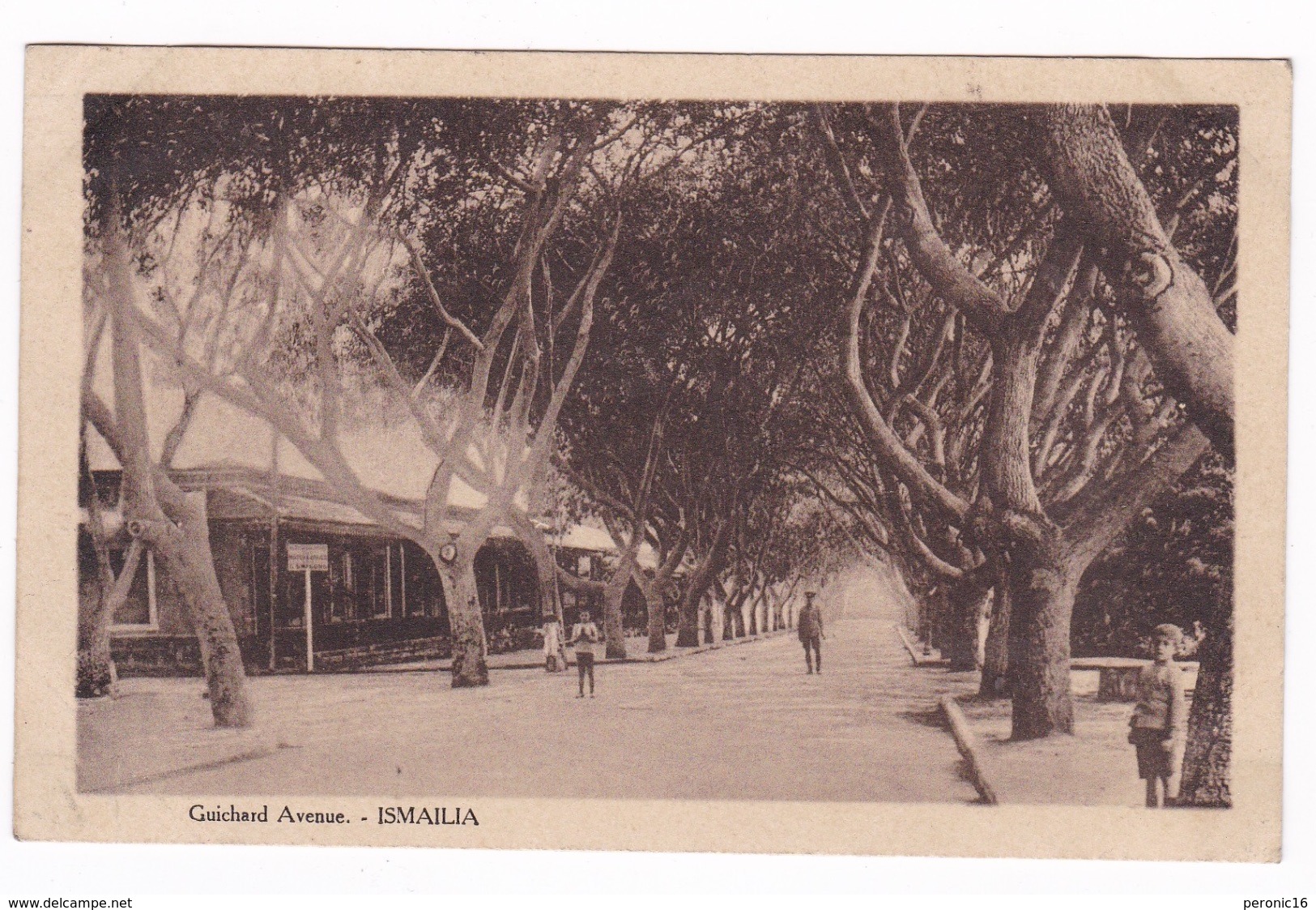 Jolie CPSM Ismaïlia (Egypte), Avenue Guichard. A Voyagé, Années 1920 - Ismailia