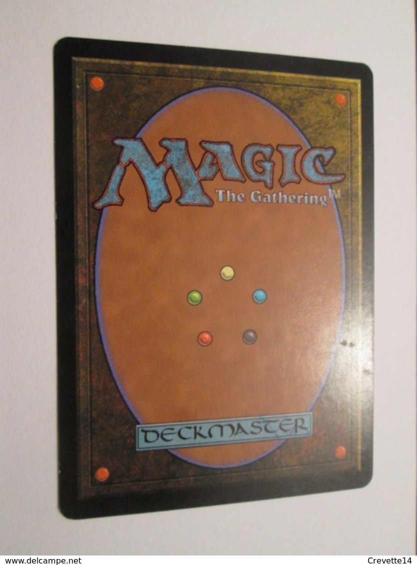 CARTE DE JEU MAGIC THE GATHERING (en Français) PLIEUR DE VOLONTE Et Repasseur De Chemise - Autres & Non Classés