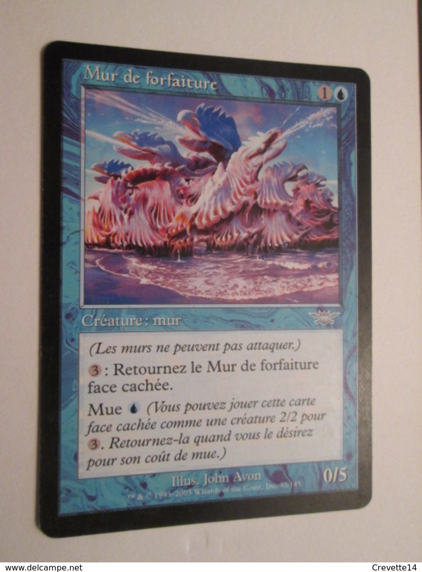 CARTE DE JEU MAGIC THE GATHERING (en Français) MUR DE FORFAITURE Les Locaux Du Nont Frational ? - Autres & Non Classés