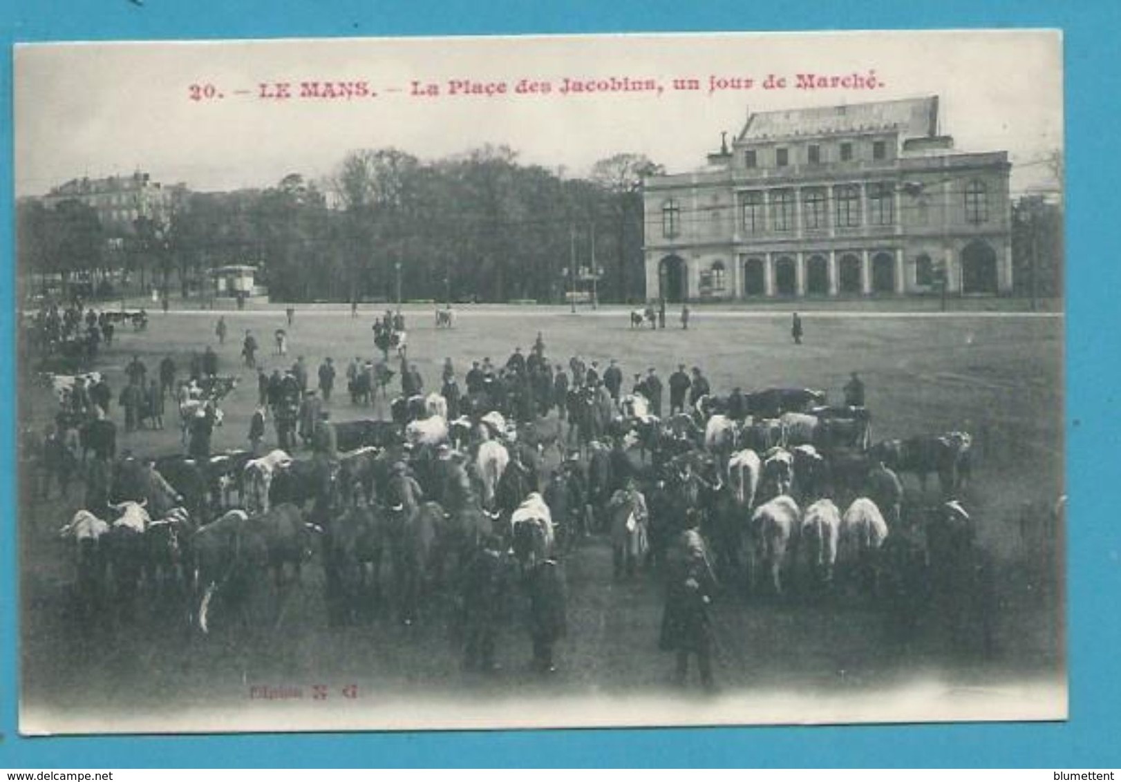 CPA 20 - Métier Maquignon Marché Aux Bestiaux LE MANS 72 - Le Mans