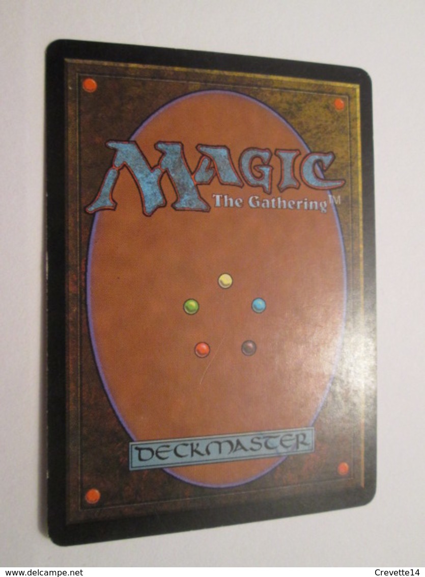 CARTE DE JEU MAGIC THE GATHERING (en Français) VIZZERDRIX - Autres & Non Classés