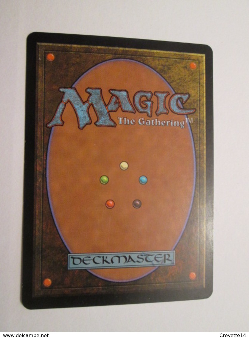 CARTE DE JEU MAGIC THE GATHERING (en Français) Age Tendre Et SPHERE DE BOIS - Other & Unclassified