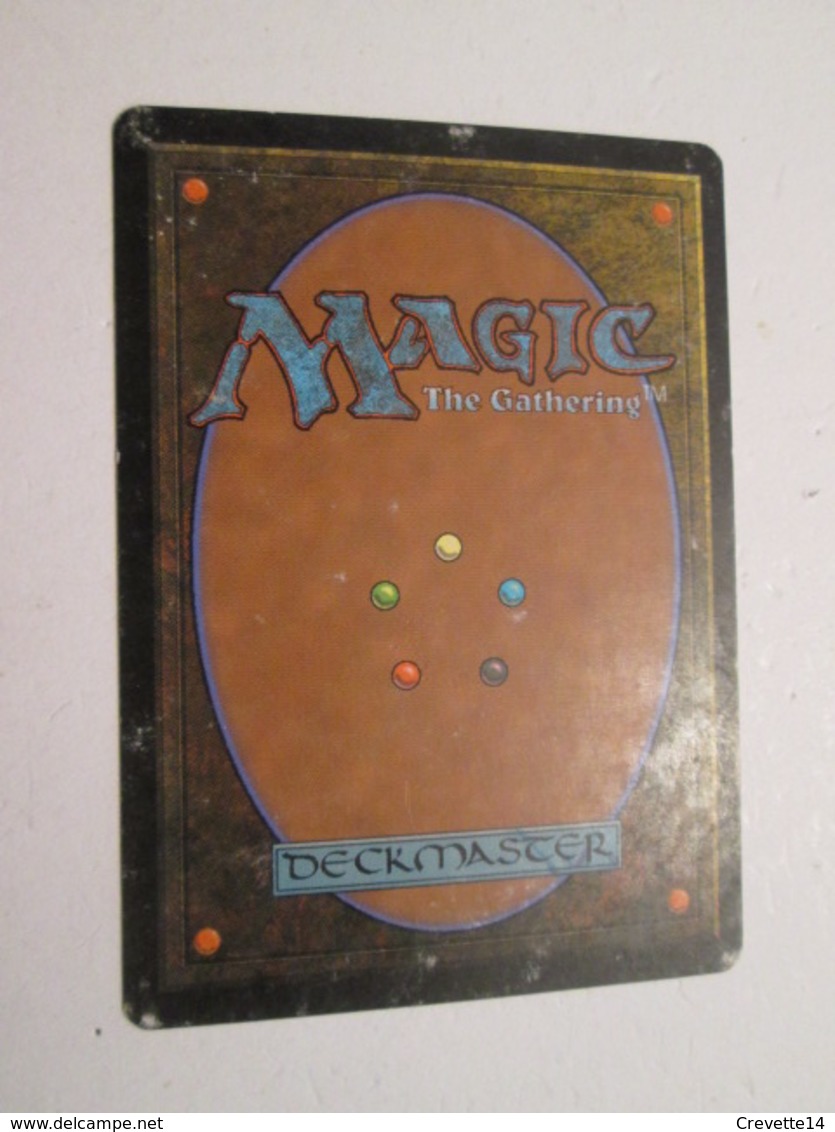 CARTE DE JEU MAGIC THE GATHERING (en Français) RATS DES CRYPTES - Other & Unclassified