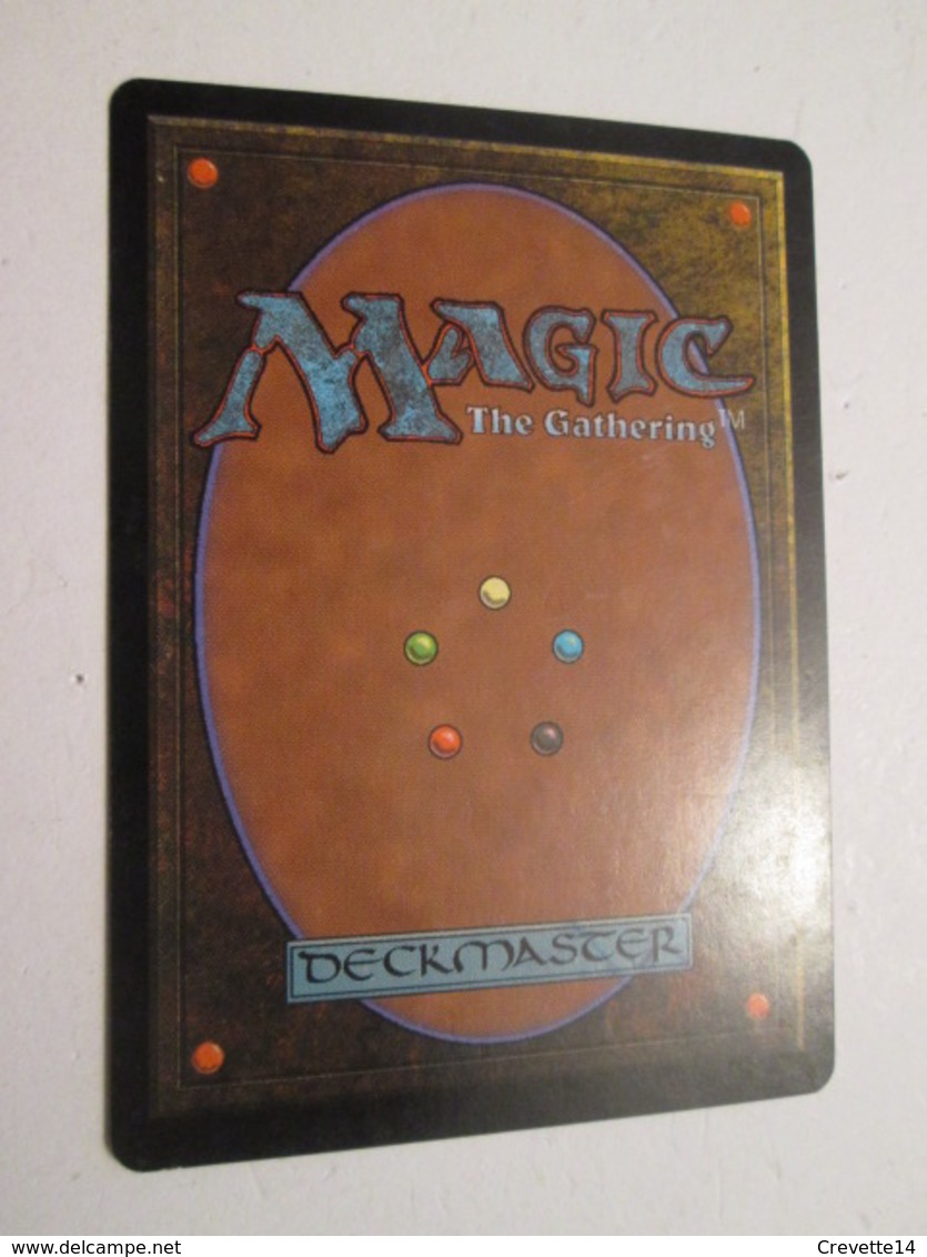 CARTE DE JEU MAGIC THE GATHERING (en Français) : VOLEE FANTOMATIQUE - Autres & Non Classés