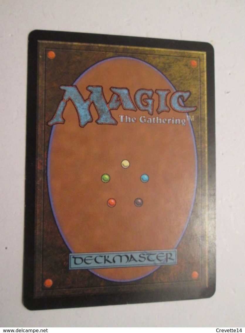 CARTE DE JEU MAGIC THE GATHERING (en Français) : VOLEE FANTOMATIQUE - Sonstige & Ohne Zuordnung