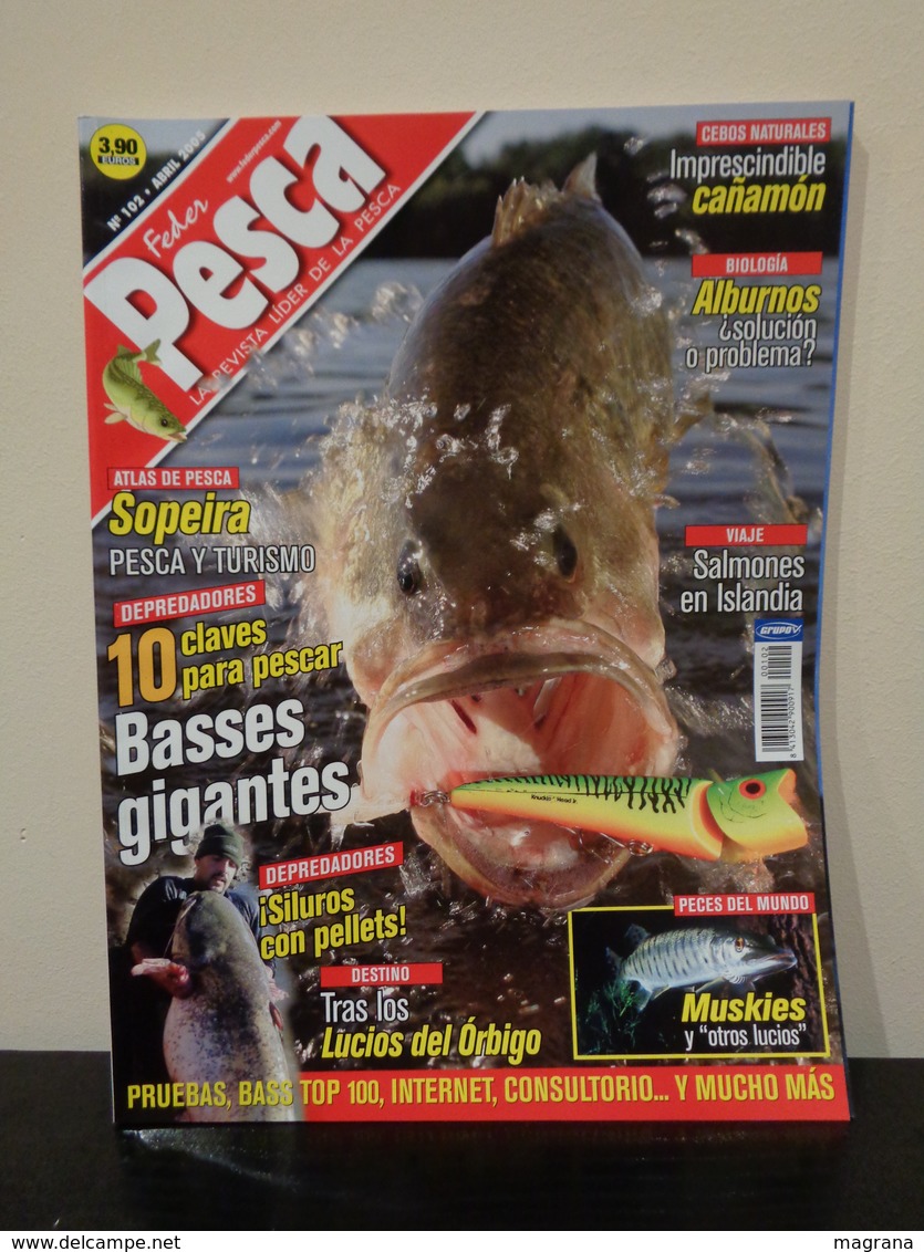 Grupo de 5 Trofeos de pesca y- Colección de 30 revistas Feder Pesca España 2004-2007.