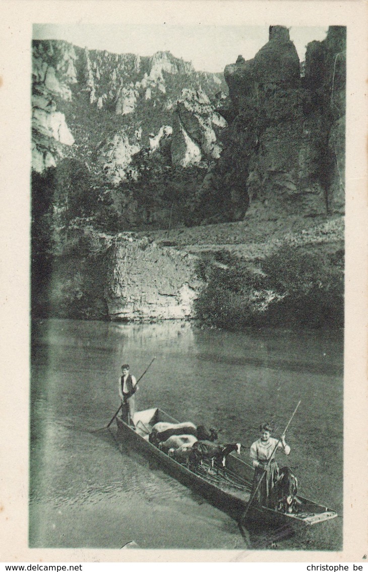 Gorges Du Tarn, La Traversée Du Tarn D'un Troupeau Au Cirque Des Beaumes (pk45440) - Autres & Non Classés