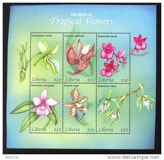 LIBERIA  2022 M  MINT NEVER HINGED MINI SHEETS OF FLOWERS - ORCHIDS   (  0257 - Orchidee