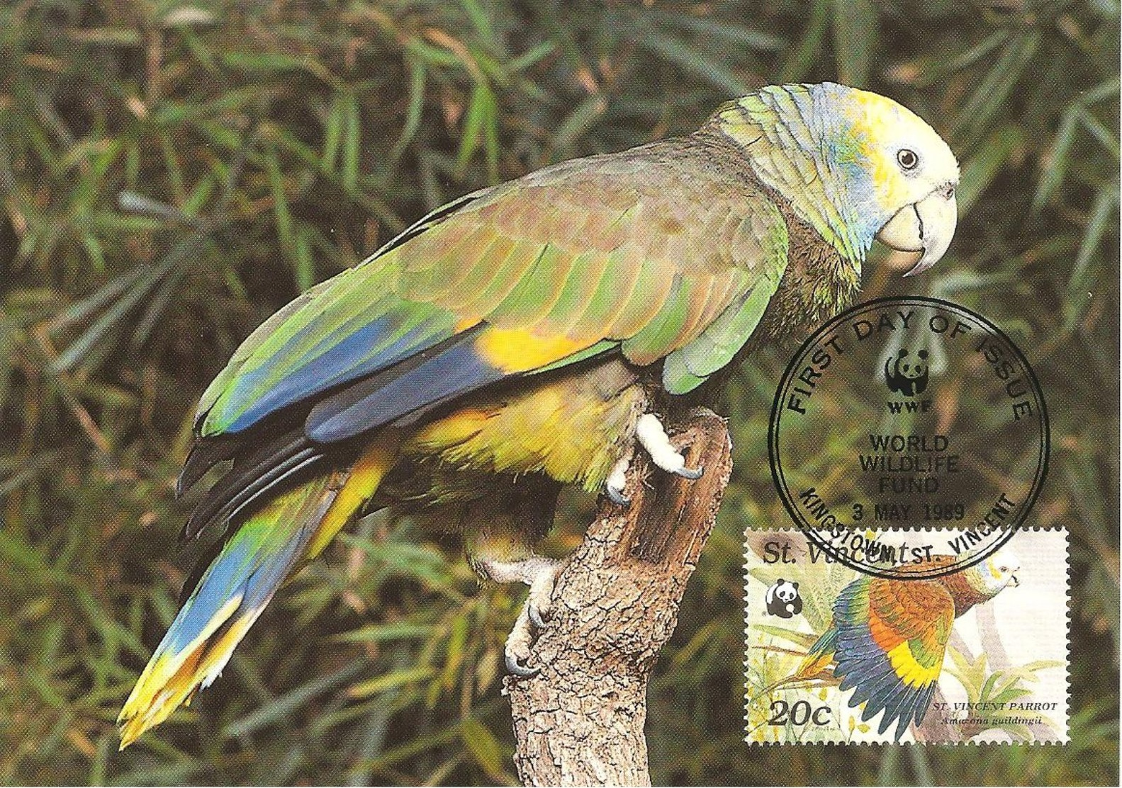 1989 - Saint-Vincent-et-les-Grenadines - Kingstown - Parrot Perroquet Amazone - Saint-Vincent-et-les Grenadines