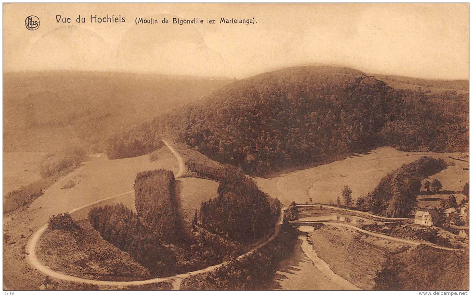 Vue Du Hochfels (Moulin De Bigonville Lez Martelange) - Martelange