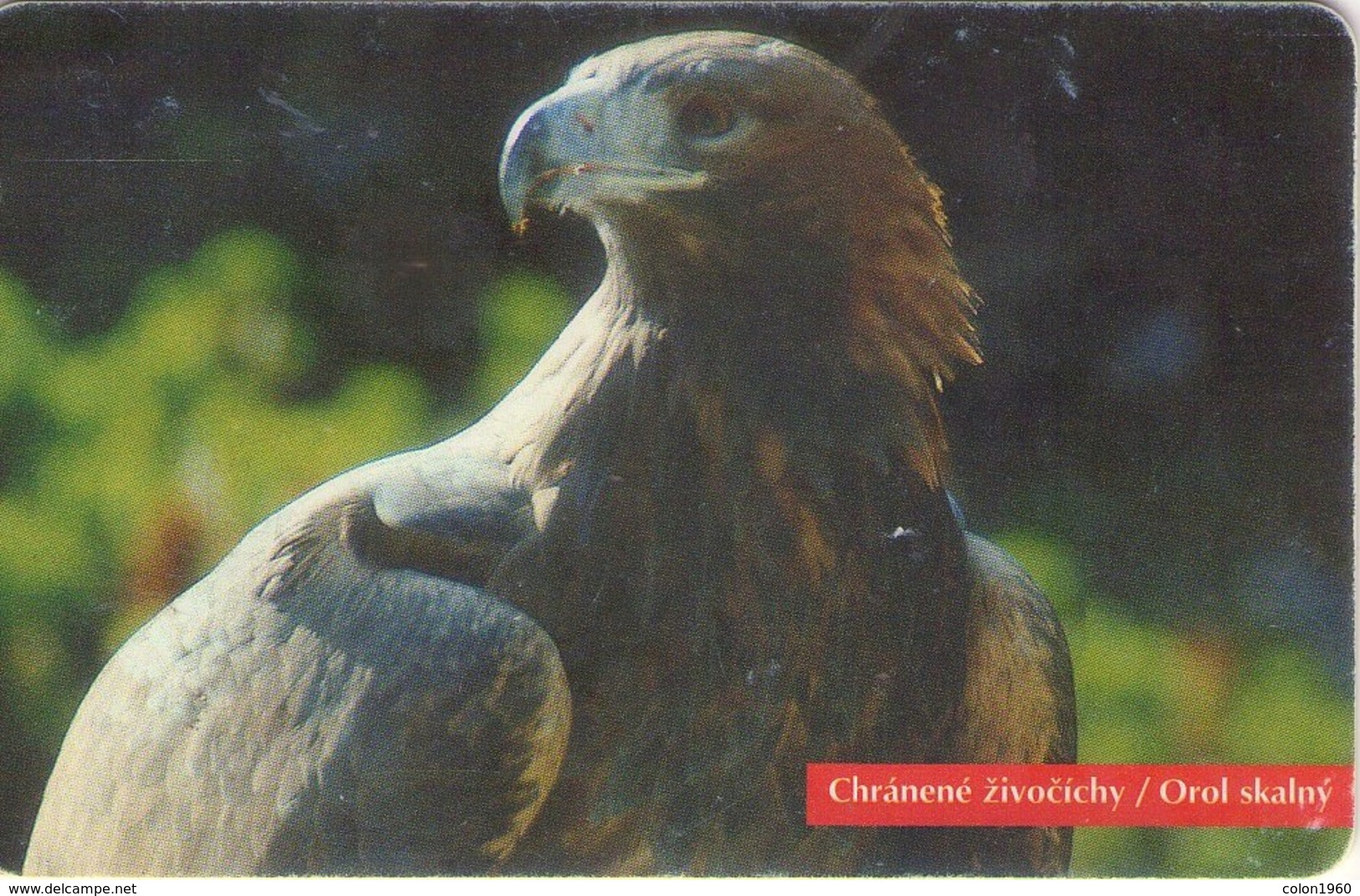 TARJETA TELEFONICA  DE ESLOVAQUIA. (052) FAUNA - AGUILA - Águilas & Aves De Presa