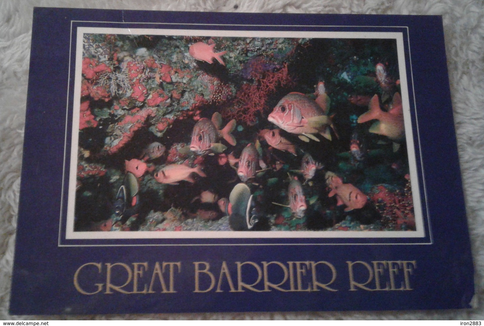 Australia - Great Barrier Reef - North Queensland - Underwater Scene 1995 - Great Barrier Reef
