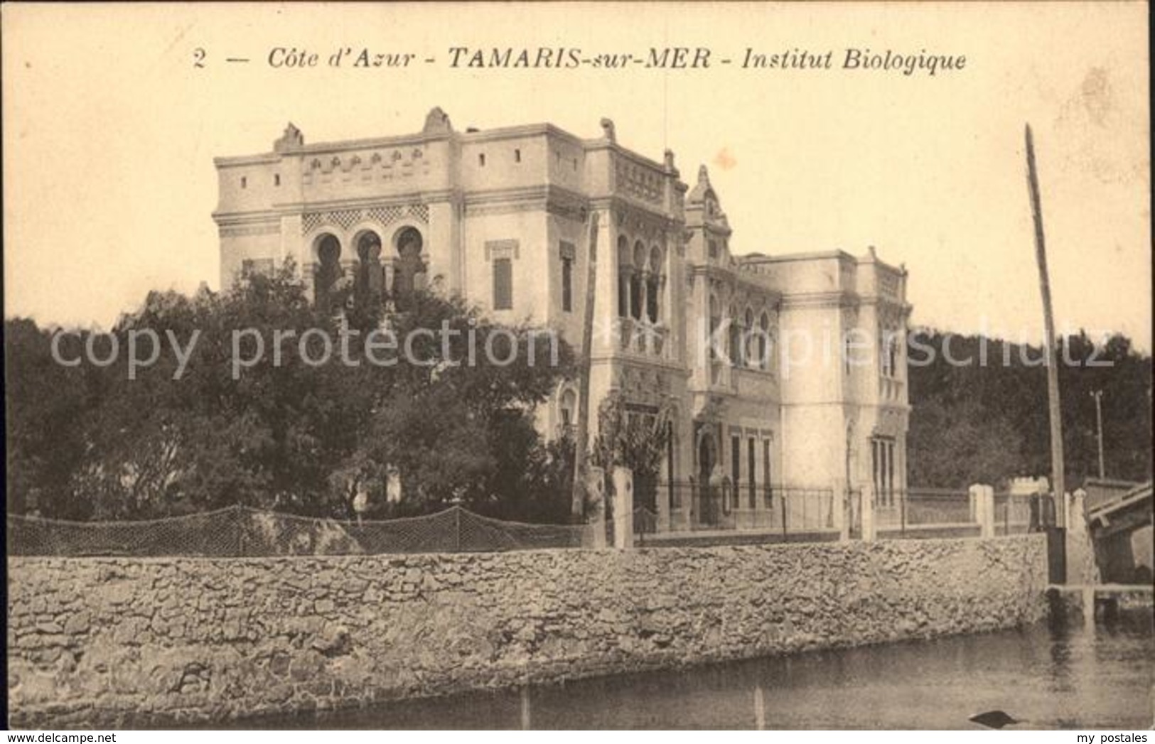 11912091 Tamaris Institut Biologique La Seyne-sur-Mer - Tamaris